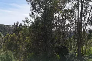 2551 Tunnel Rd, Oakland, CA 94611 - Photo 5