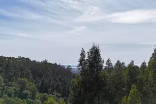 2551 Tunnel Rd, Oakland, CA 94611 - Photo 11