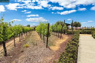 1760 Merlot Cir, Brentwood, CA 94513 - Photo 45