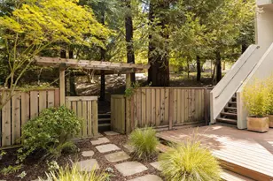 6 Dorothy Pl, Berkeley, CA 94705 - Photo 31