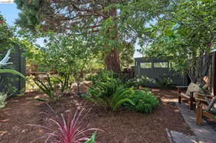 1233 Carleton St, Berkeley, CA 94702 - Photo 33
