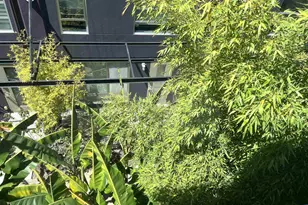 1253 Pine St, Oakland, CA 94607 - Photo 29