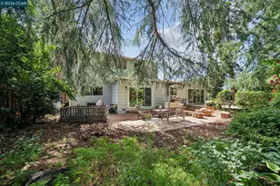 326 Dogwood Dr, Walnut Creek, CA 94598 - Photo 41