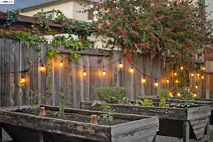 905 Del Mar Ave, Alameda, CA 94501 - Photo 43