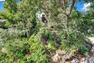 2009 Berkeley Way, Berkeley, CA 94704 - Photo 19