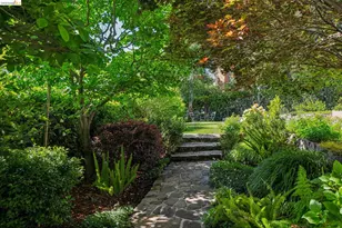 305 Sheridan Ave, Piedmont, CA 94611 - Photo 55