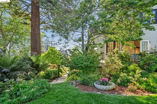 305 Sheridan Ave, Piedmont, CA 94611 - Photo 53