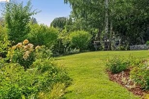 305 Sheridan Ave, Piedmont, CA 94611 - Photo 71