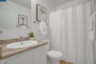351 Filbert Ct, Oakley, CA 94561 - Photo 19