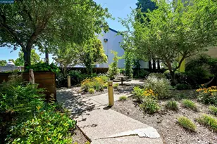 1201 Alta Vista Dr, Walnut Creek, CA 94596 - Photo 59