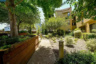 1201 Alta Vista Dr, Walnut Creek, CA 94596 - Photo 61