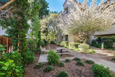 1201 Alta Vista Dr #206, Walnut Creek, CA 94596 - Photo 61
