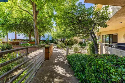 1201 Alta Vista Dr #206, Walnut Creek, CA 94596 - Photo 57
