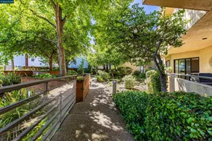 1201 Alta Vista Dr, Walnut Creek, CA 94596 - Photo 57
