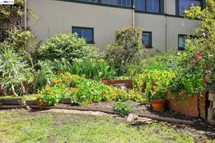 2114 Marin Ave, Berkeley, CA 94707 - Photo 41