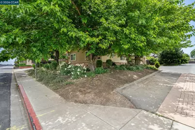 1591 3rd Ave, Walnut Creek, CA 94597 - Photo 3