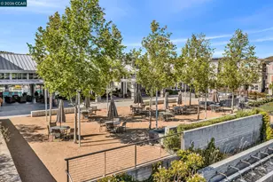 6937 Atlas Peak Dr, Dublin, CA 94568 - Photo 65