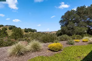 3136 Ptarmigan Dr, Walnut Creek, CA 94595 - Photo 23