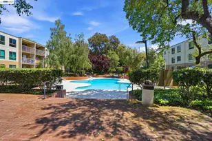 460 Civic Dr, Walnut Creek, CA 94596 - Photo 41