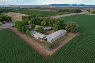 25685 Marsh Creek Rd, Brentwood, CA 94513 - Photo 13