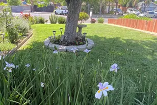 142 Plymouth Ct, Vacaville, CA 95687 - Photo 41