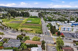955 Jackson St, Albany, CA 94706 - Photo 23