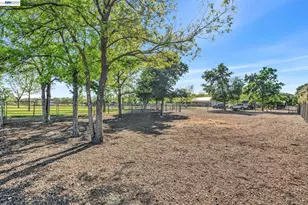 16546 Co Rd 87, Esparto, CA 95627 - Photo 49