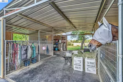 16546 County Road 87, Esparto, CA 95627 - Photo 41