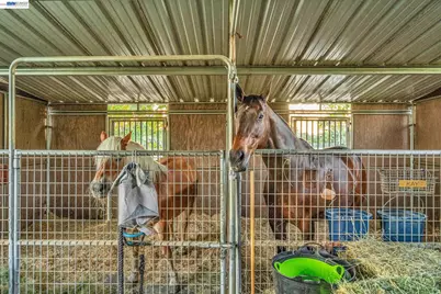 16546 County Road 87, Esparto, CA 95627 - Photo 43