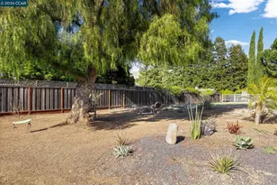 2050 Shell Ridge Trail, Walnut Creek, CA 94598 - Photo 47