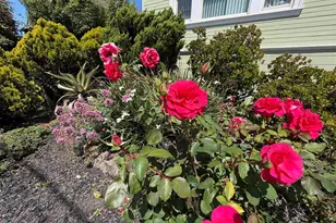 1028 61st St, Oakland, CA 94608 - Photo 31