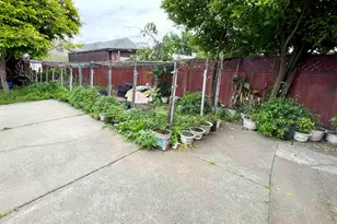 2517 Webb Ave, Alameda, CA 94501 - Photo 15