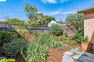 1059 Talbot Ave, Albany, CA 94706 - Photo 41