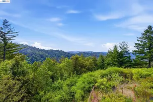 16300 Old Ranch, Los Gatos, CA 95033 - Photo 35