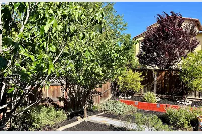 6180 Alpine Blue Dr, San Ramon, CA 94582 - Photo 39