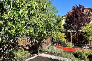 6180 Alpine Blue Dr, San Ramon, CA 94582 - Photo 39
