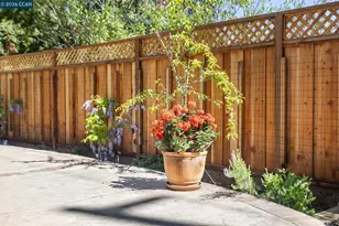 651 Derbyshire Pl, Danville, CA 94526 - Photo 69