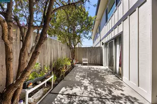 1037 Stannage Ave, Albany, CA 94706 - Photo 29