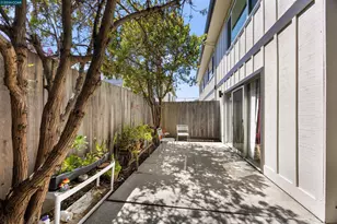1037 Stannage Ave, Albany, CA 94706 - Photo 29