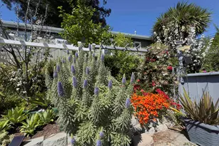 7907 Michigan Ave, Oakland, CA 94605 - Photo 93