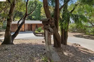 3343 Dwight Way, Berkeley, CA 94704 - Photo 35