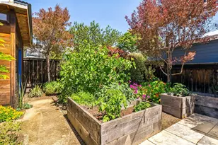 1339 Thousand Oaks Blvd, Albany, CA 94706 - Photo 49