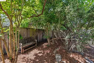 6521 Dover St, Berkeley, CA 94703 - Photo 57