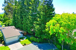 131 Shoshone Ct, Danville, CA 94526 - Photo 77