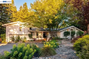 31 Arjang Ct, Alamo, CA 94507 - Photo 1