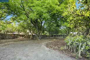 143 Montecito Crescent, Walnut Creek, CA 94597 - Photo 59
