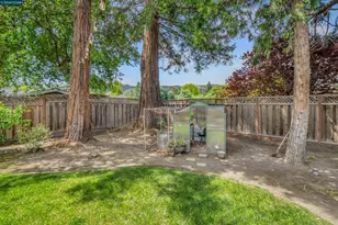383 Princeton Ln, Danville, CA 94526 - Photo 37
