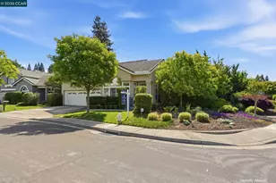 601 Ambience Way, Danville, CA 94506 - Photo 47