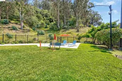 535 Pierce St #3301, Albany, CA 94706 - Photo 45