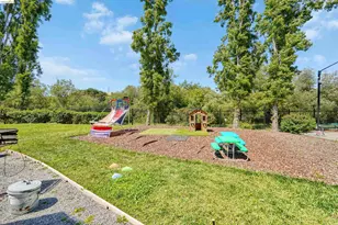 535 Pierce St, Albany, CA 94706 - Photo 47